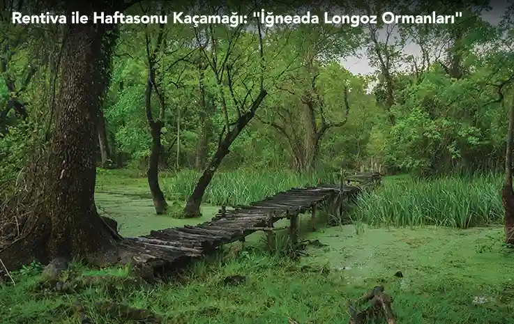 Rentiva ile Hafta Sonu Kaçamağı: “İğneada Longoz Ormanları”